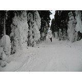 Aj jazda na vleku m� svoje �aro