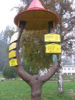 obrázok 8 z Projekt Učíme sa pre život