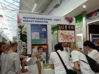 obrázok 14 z Noc výskumníkov